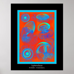 Leptomedusae ~ Ernst Haeckel Print