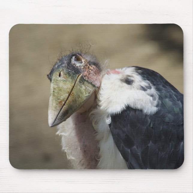 Leptoptilos crumeniferus mouse mat (Front)