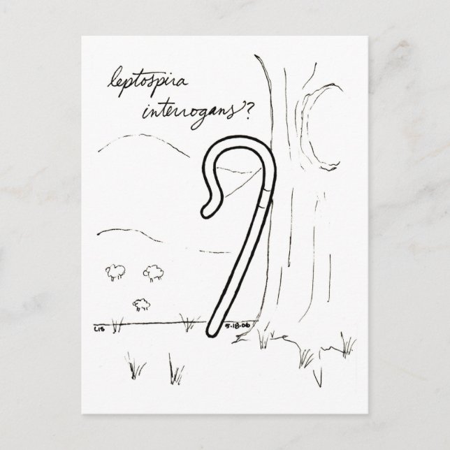 Leptospira Interrogans postcard (Front)