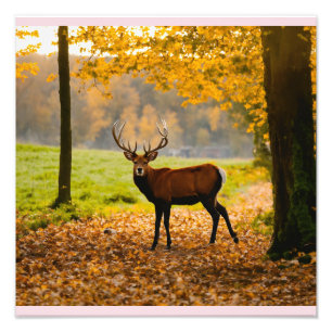 Les 4 Gamins à la Chasse au Trésor Photo Print