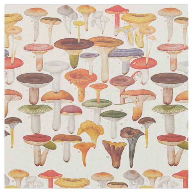 Les Champignons Mushrooms Fabric (Close Up)
