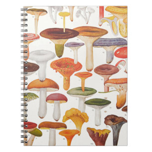 Les Champignons Mushrooms Notebook