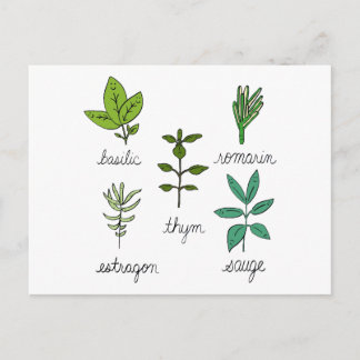 Les herbes postcard