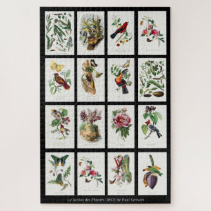 Les Jardins des Plantes Vintage Illustrations 002 Jigsaw Puzzle
