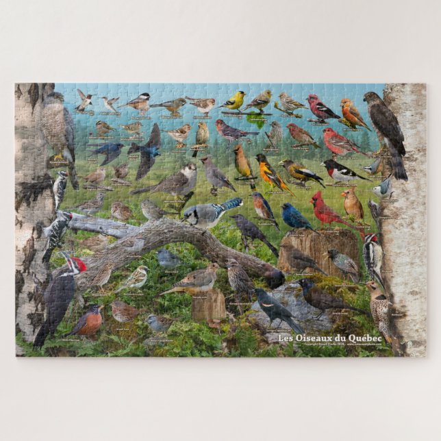 Les Oiseaux du Québec Jigsaw Puzzle (Horizontal)