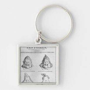 Les Poires, caricature of King Louis-Philippe Key Ring