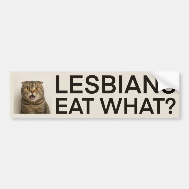 Lesbians Eat What Funny Bumper Sticker (Front)