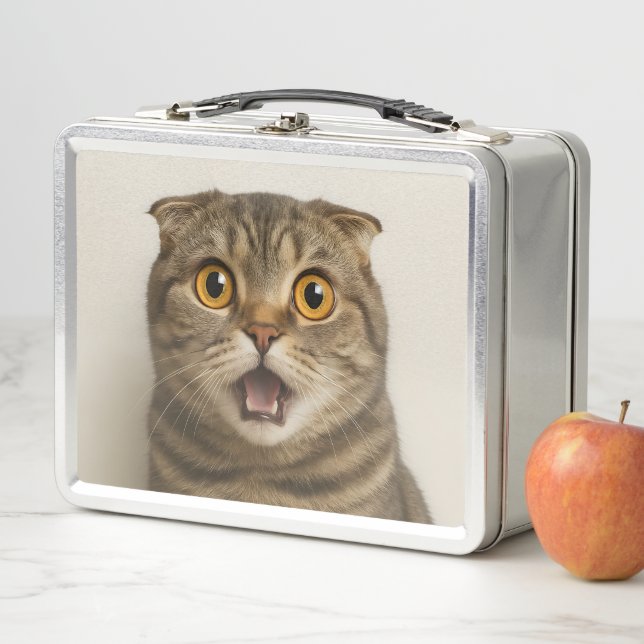 Lesbians Eat What Funny Metal Lunch Box (In Situ)