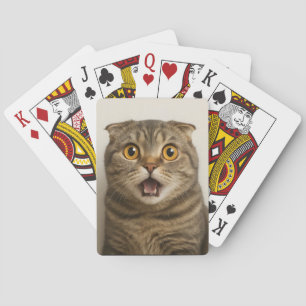 Lesbians Eat What Funny Playing Cards