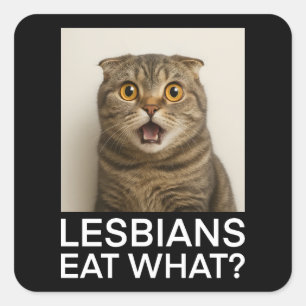 Lesbians Eat What Funny Square Sticker