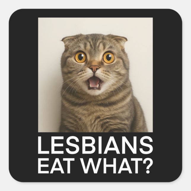 Lesbians Eat What Funny Square Sticker (Front)