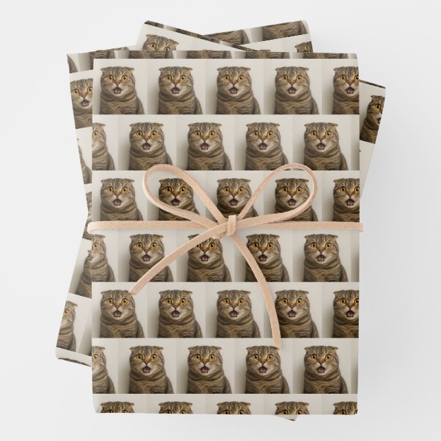 Lesbians Eat What Funny Wrapping Paper Sheet (In situ)