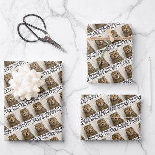 Lesbians Eat What Funny Wrapping Paper Sheet