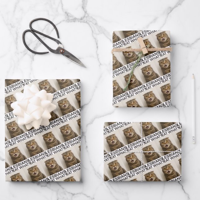 Lesbians Eat What Funny Wrapping Paper Sheet (Front)