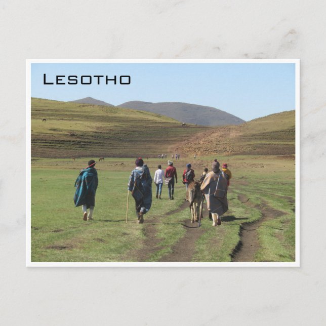 lesotho shepherds postcard (Front)