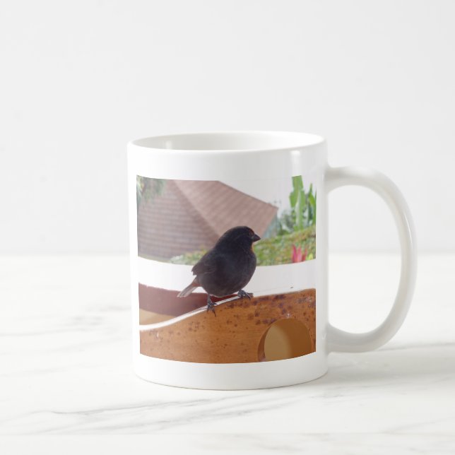 Lesser Antillean Bullfinch Coffee Mug (Right)