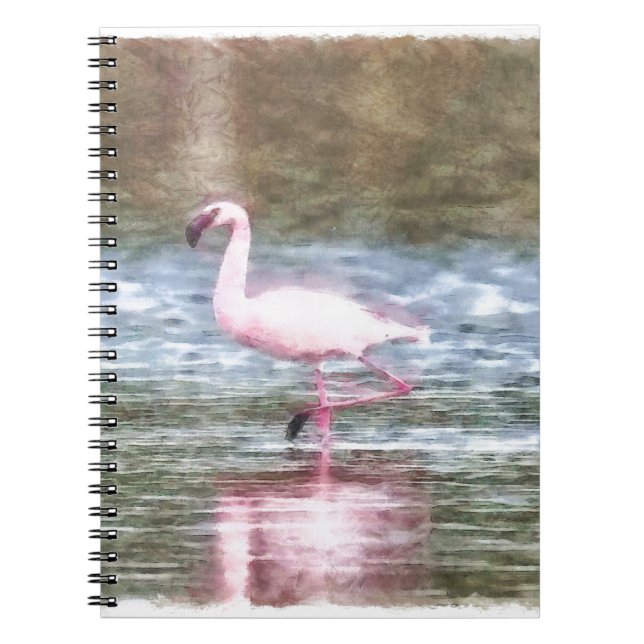 Lesser Flamingo Watercolor Notebook (Front)