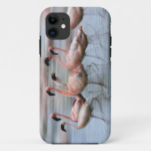 Lesser Flamingos in motion, Phoenicopterus iPhone 11 Case