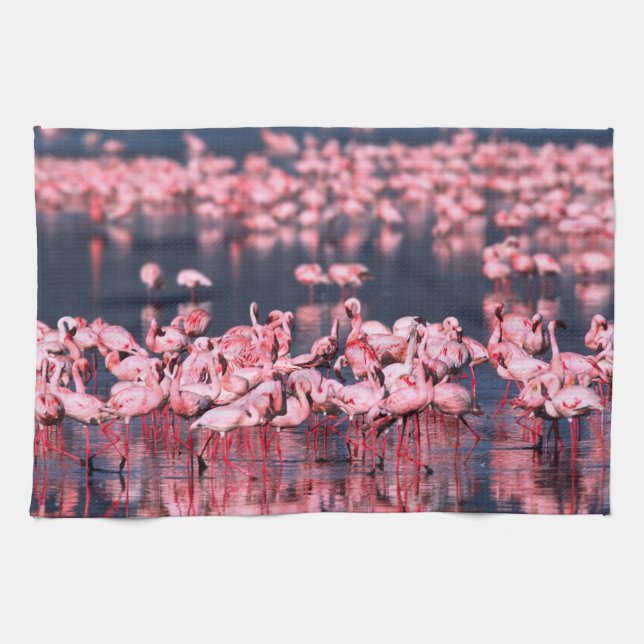 Lesser Flamingos (Phoeniconaias minor), Africa, Tea Towel (Horizontal)