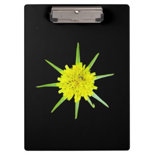 Lesser Goats-beard Wild Flower Clipboard