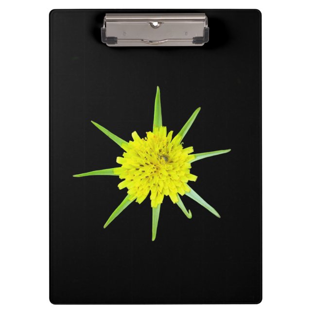 Lesser Goats-beard Wild Flower Clipboard (Front)