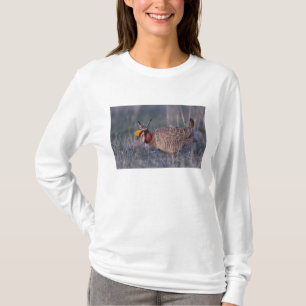 Lesser Prairie-Chicken, Tympanuchus T-Shirt