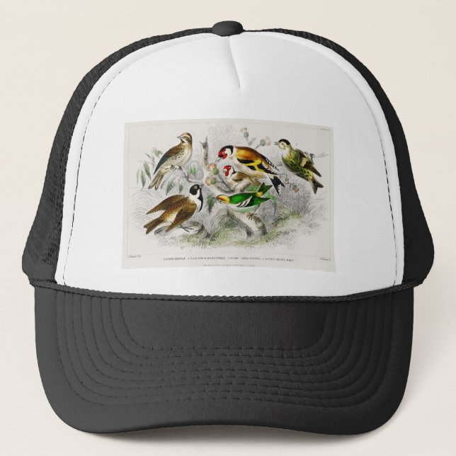 Lesser Redpole, Goldfinch Male & Female, Siskin Trucker Hat (Front)