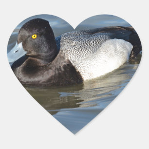 Lesser Scaup Duck Heart Sticker