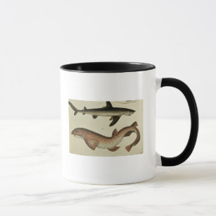 Lesser Spotted Dogfish Mug