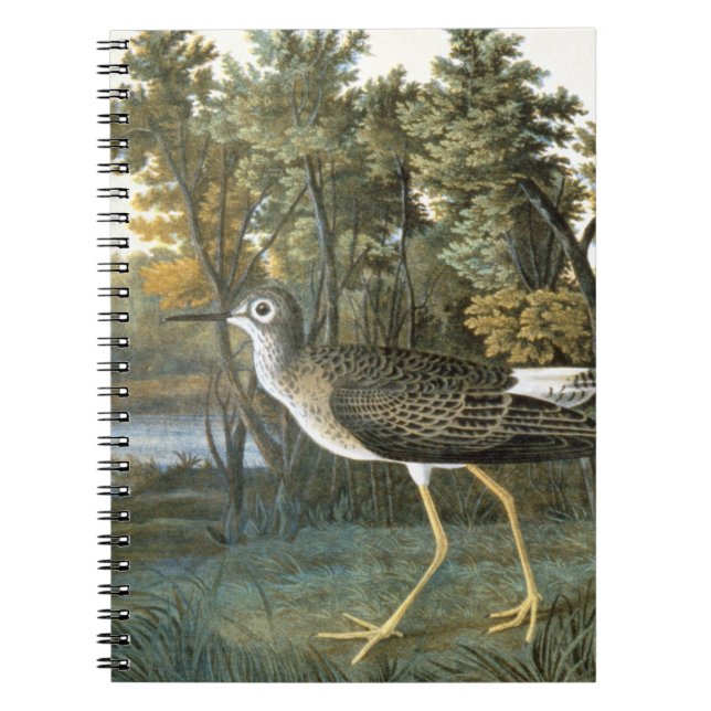 Lesser Yellowlegs Notebook (Front)