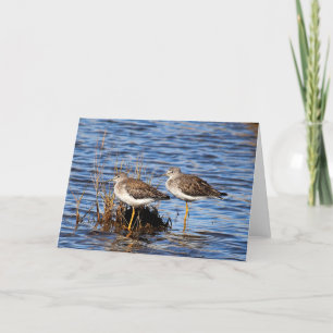 Lesser Yellowlegs Photo Note Card