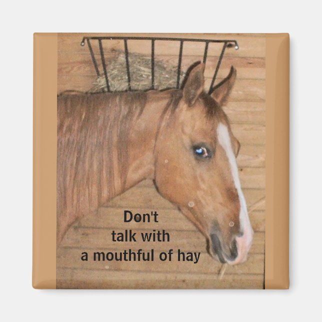 Lessons From Mum - magnet (Front)