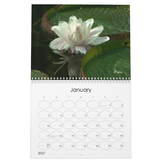 let 2013 shine in calendar (Jan 2027)