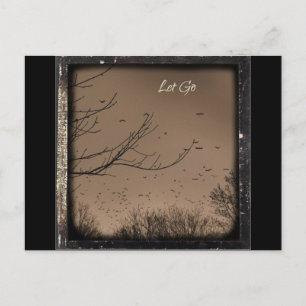 Let Go Postcard
