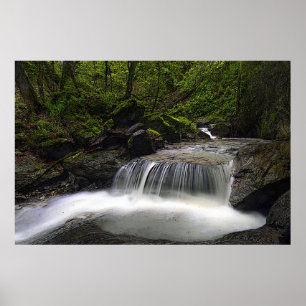Let it Flow 36 x 24 Poster