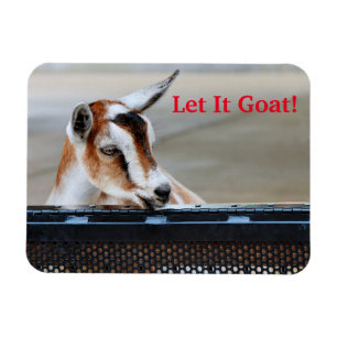Let it Goat Magnet