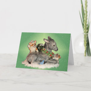 Let it Snow! Corgis & Donkey Christmas Card