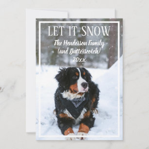 Let it snow Dog Photo Christmas Holiday Card