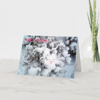 Let It Snow Holiday Card