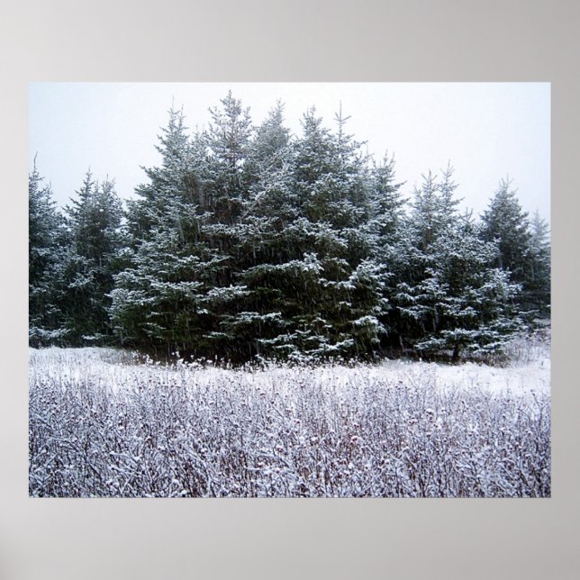 Let It Snow Poster (Front)