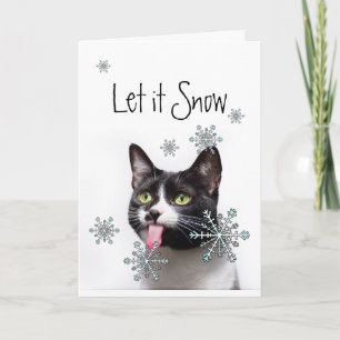 Let it Snow Winter Snowflakes Fun Christmas Cat  Holiday Card