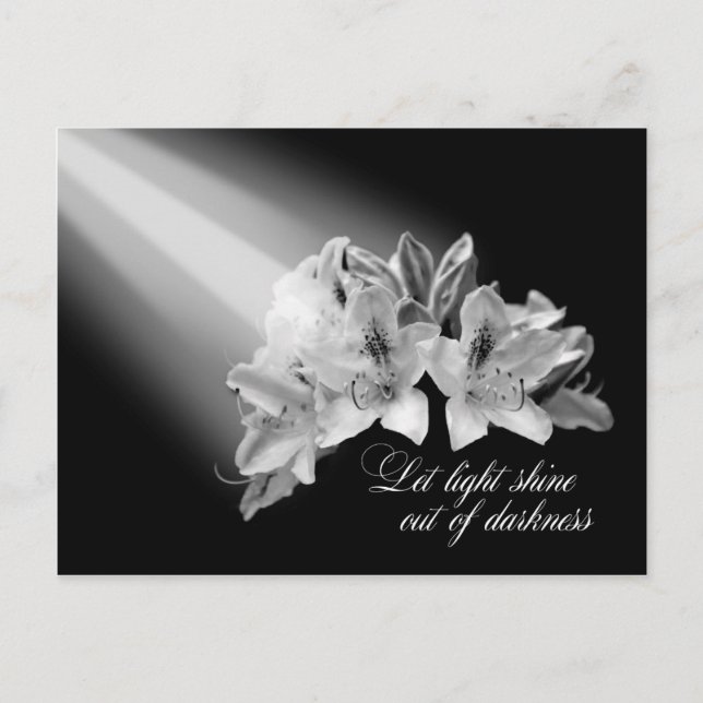 Let Light Shine Out Of Darkness Postcard (Front)