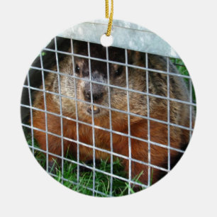 Let Me Out ~ ornament