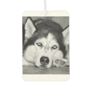 Let Me Sleep Please Car Air Freshener