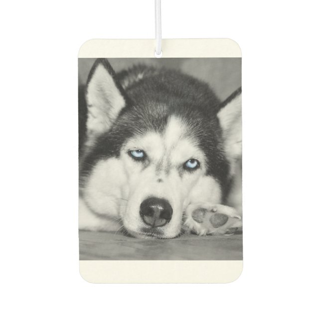 Let Me Sleep Please Car Air Freshener (Front)