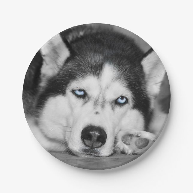 Let Me Sleep Please Paper Plate (Front)