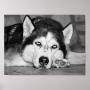 Let Me Sleep Please Poster