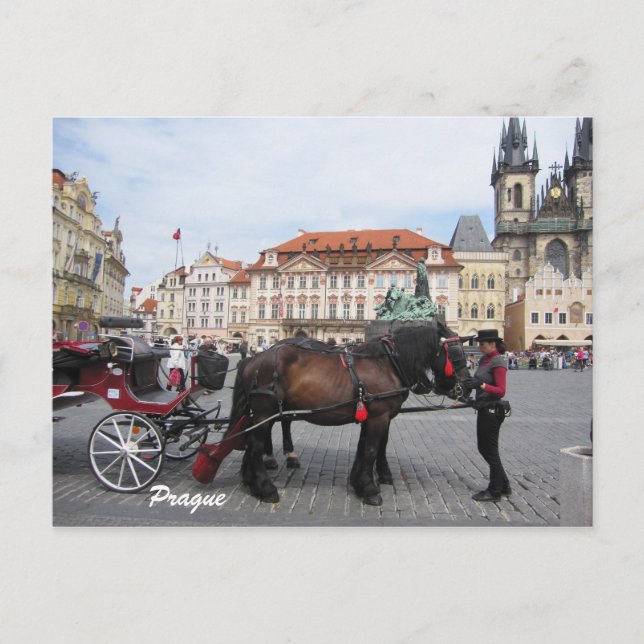 Let´s go sightseeing in Prague Postcard (Front)