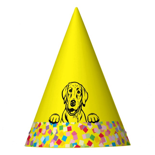 “Let’s PAWTY” Labrador Confetti Party Hats (Front)