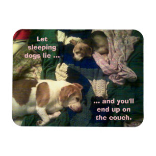 Let Sleeping Dogs Lie / End Up On Couch 3x4 Magnet